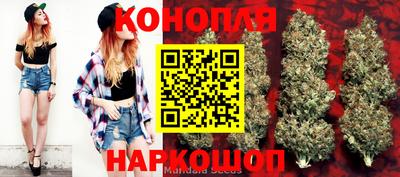 mdpv Шелехов