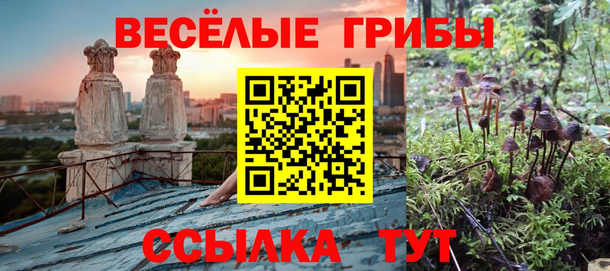 Галлюциногенные грибы Cubensis Ахтубинск