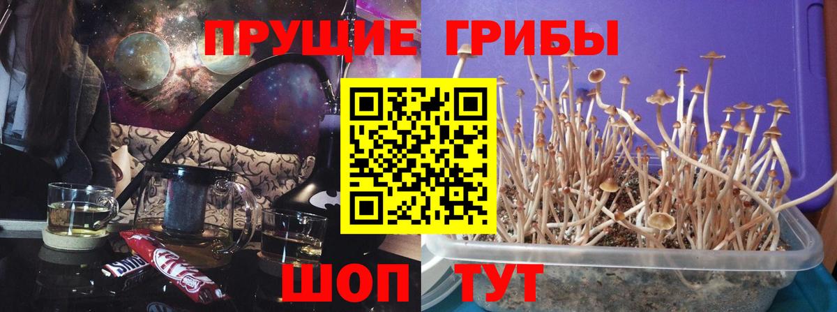 Ахтубинск  Вход с VPN  ГАШИШ  Экстази  МЕФ кристаллы  Alpha-PVP СК кристаллы  Меф  COCAIN  Гашиш  MDMA  Бошки Шишки  ТГК 