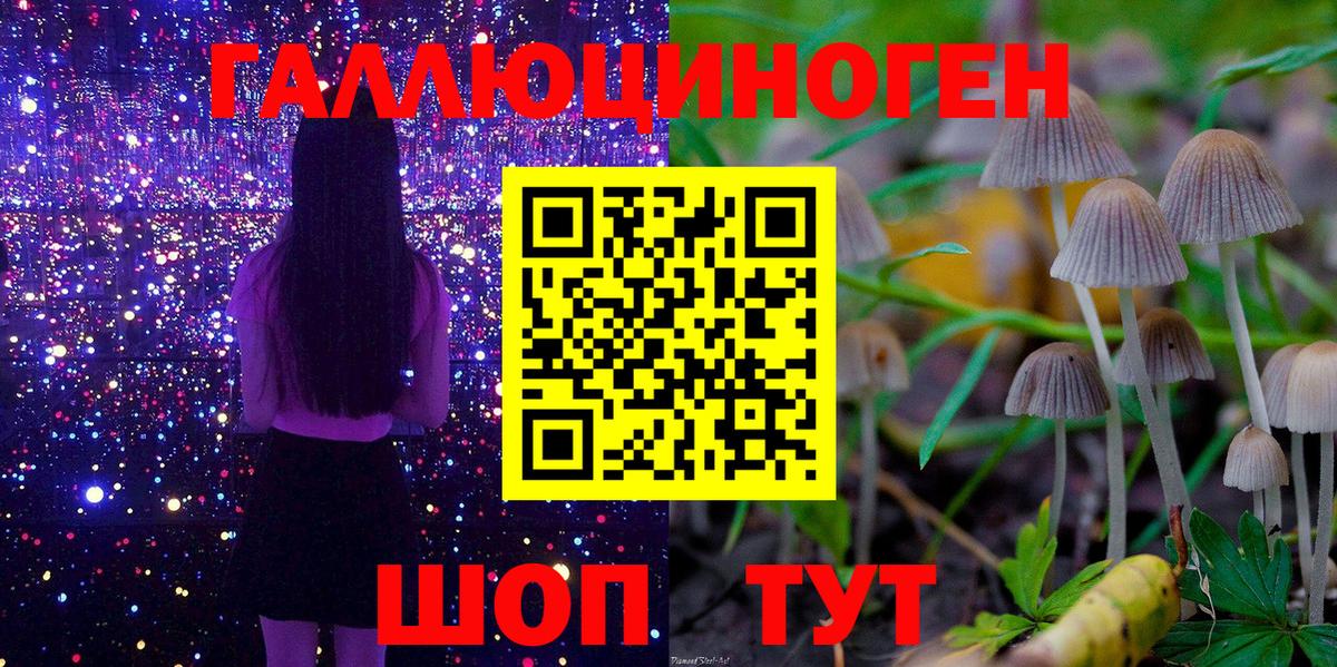 Галлюциногенные грибы MAGIC MUSHROOMS  Вход с VPN  Ахтубинск 